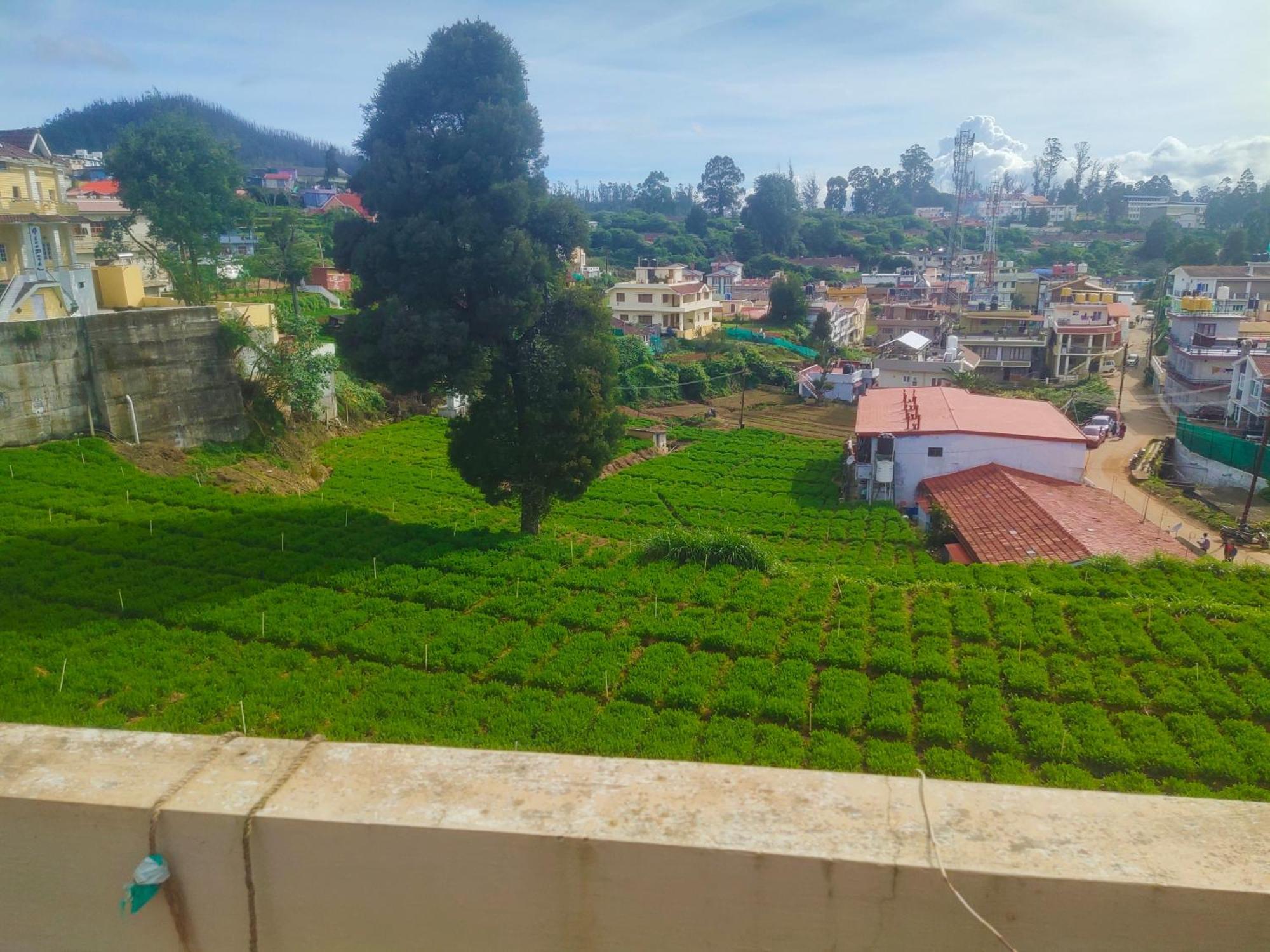 Ooty Mountain Cottage Exteriér fotografie